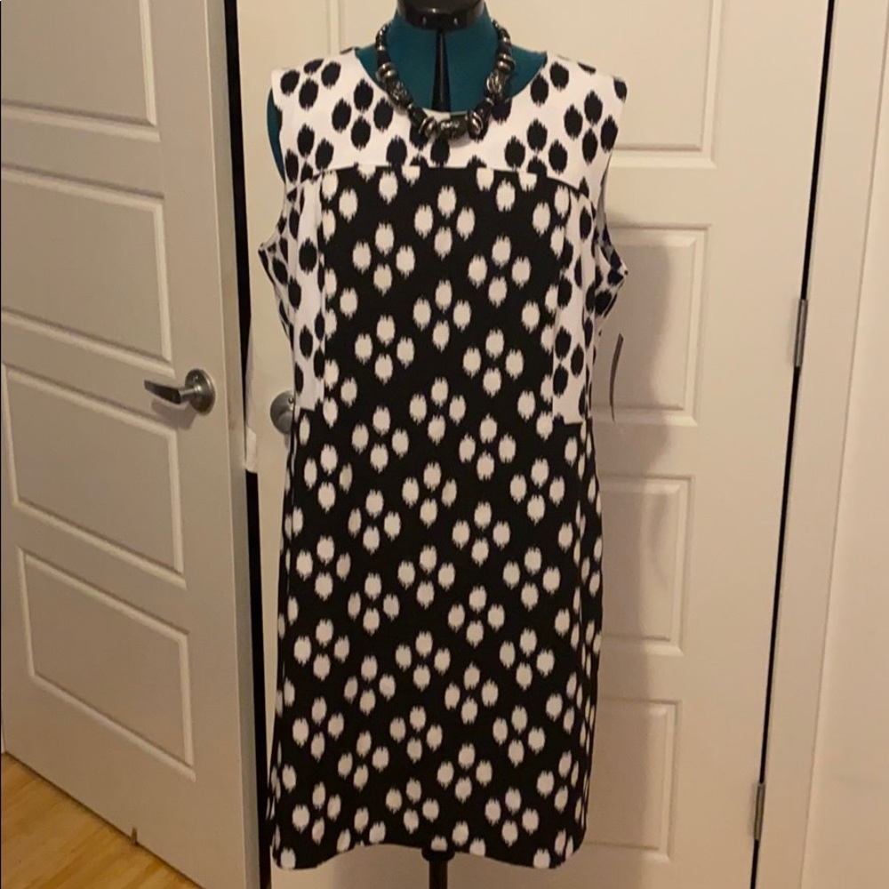 Black/White Knee Length Dress